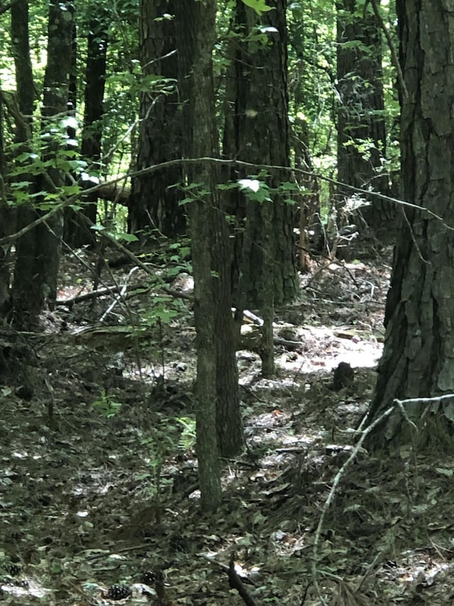 LOT3C Lighthouse Pt, Lincolnton, GA 30817 - photo 4
