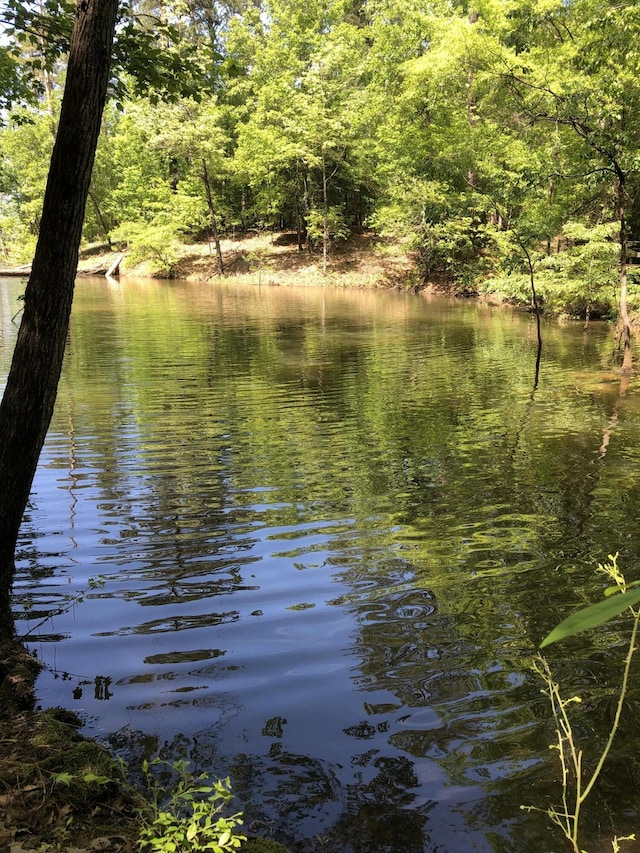 LOT3C Lighthouse Pt, Lincolnton, GA 30817 - photo 2