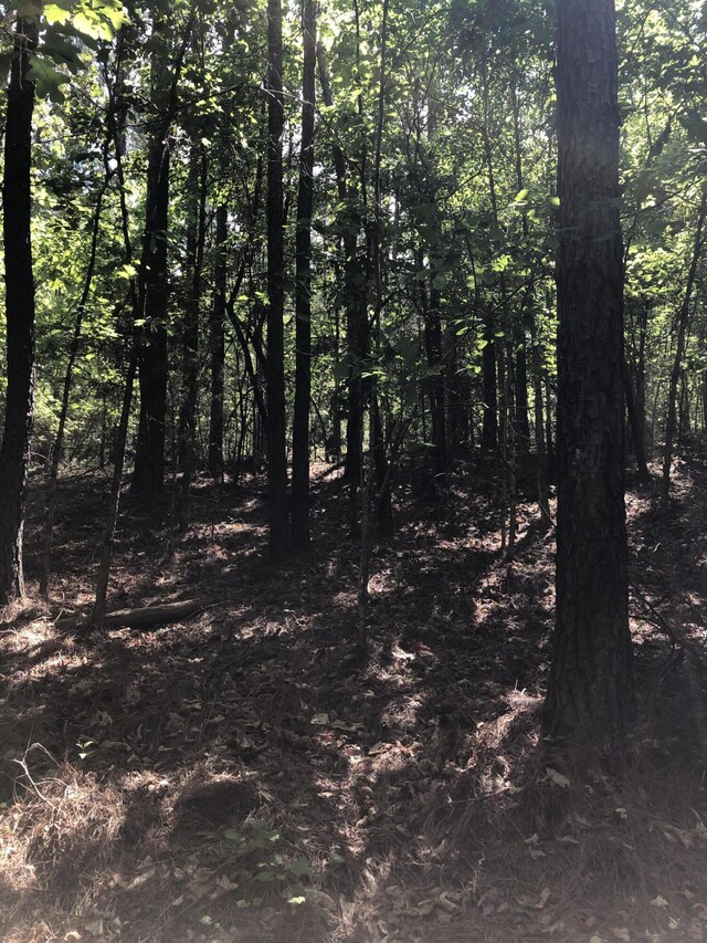 LOT3C Lighthouse Pt, Lincolnton, GA 30817 - photo 5