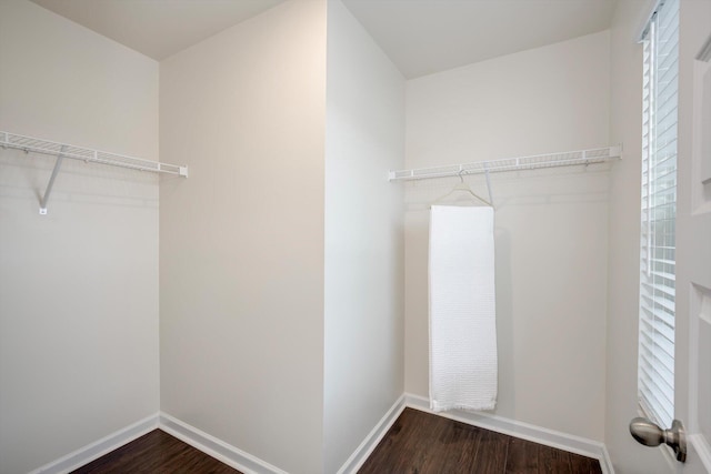 2178 River Park Ct, Augusta, GA 30907 - walk in closet featuring dark wood-type flooring