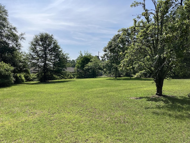 2514 Lumpkin Rd, Augusta, GA 30906 - view of yard