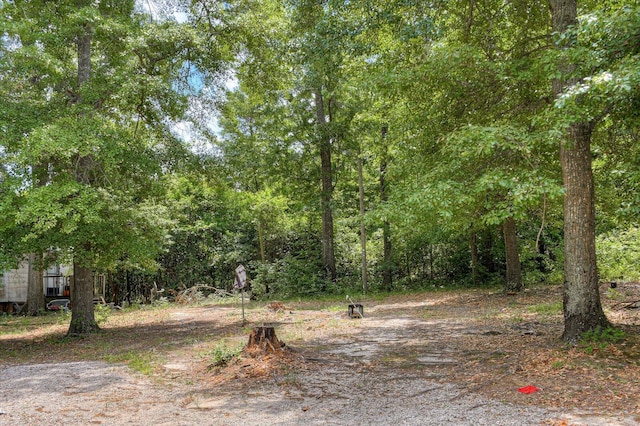 2514 Lumpkin Rd, Augusta, GA 30906 - view of local wilderness with a forest view