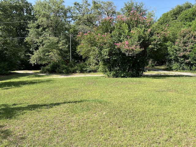 2514 Lumpkin Rd, Augusta, GA 30906 - view of yard