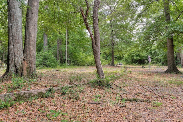 2514 Lumpkin Rd, Augusta, GA 30906 - view of local wilderness with a wooded view