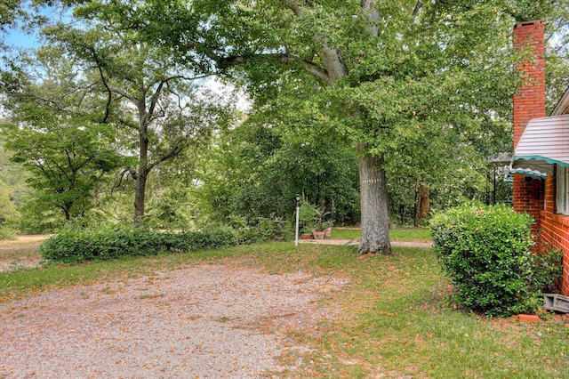 2514 Lumpkin Rd, Augusta, GA 30906 - view of yard