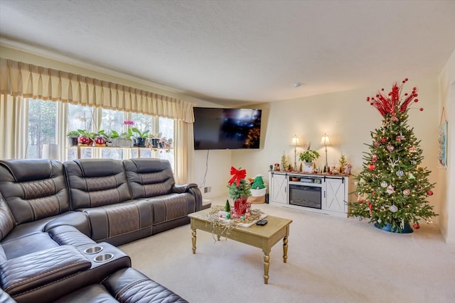 carpeted living room featuring a textured ceiling