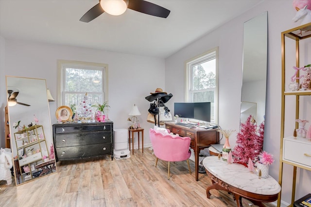 office with ceiling fan and light hardwood / wood-style flooring