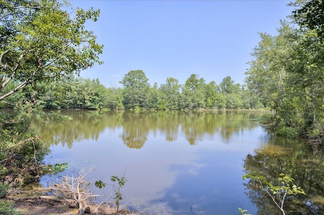 view of water feature with a wooded view