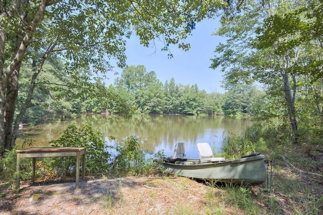 view of dock with a water view and a view of trees