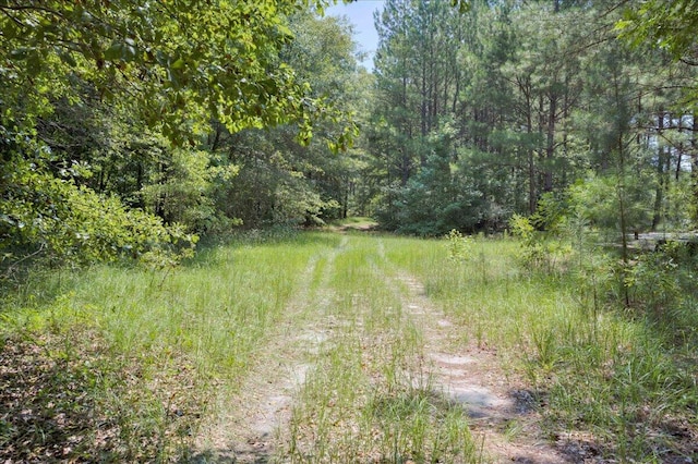 view of local wilderness featuring a forest view