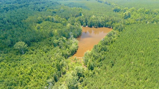 drone / aerial view with a water view and a view of trees