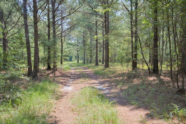 view of road with a view of trees