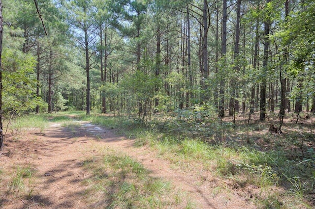 view of local wilderness with a view of trees