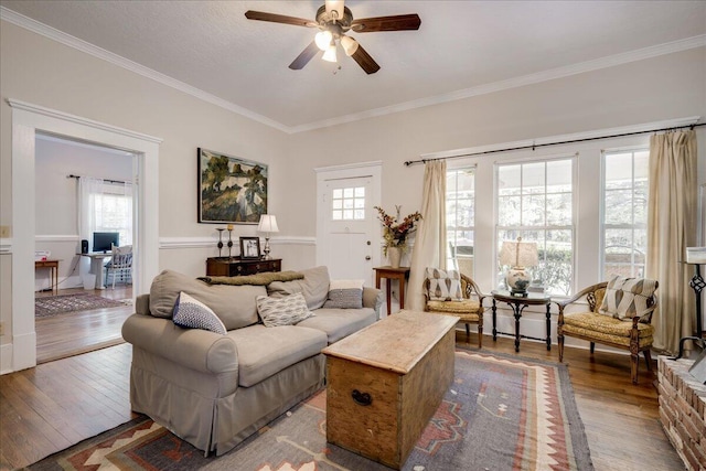 living area with ceiling fan, dark wood finished floors, and crown molding