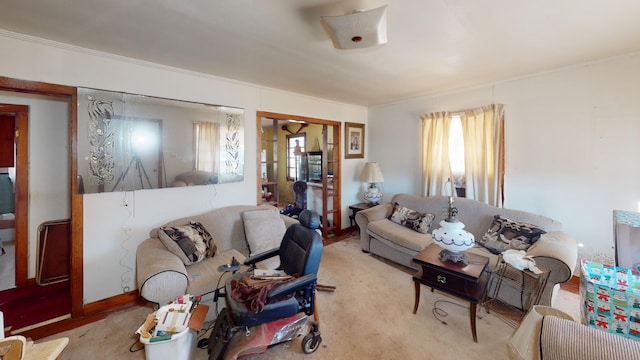 carpeted living room with a wealth of natural light