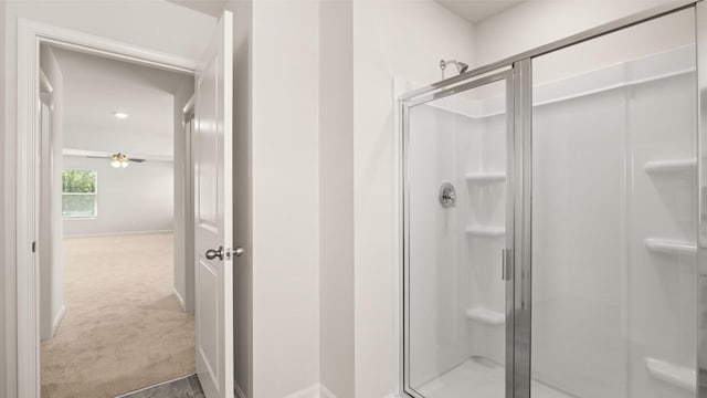 bathroom with walk in shower