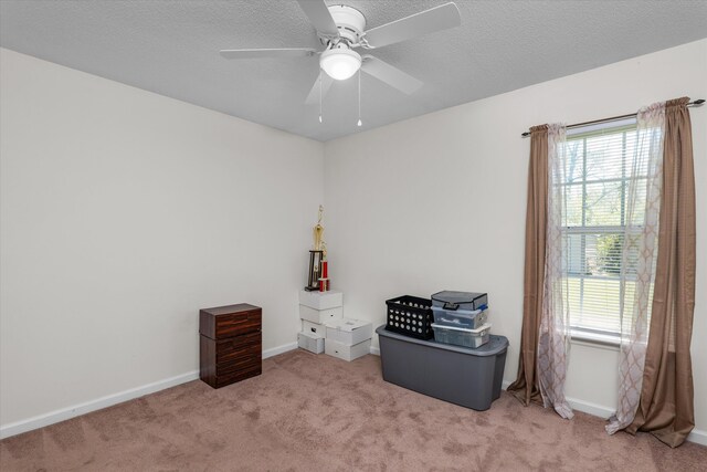 2795 Davis Mill Rd, Hephzibah, GA 30815 - misc room featuring baseboards, carpet, a textured ceiling, and ceiling fan