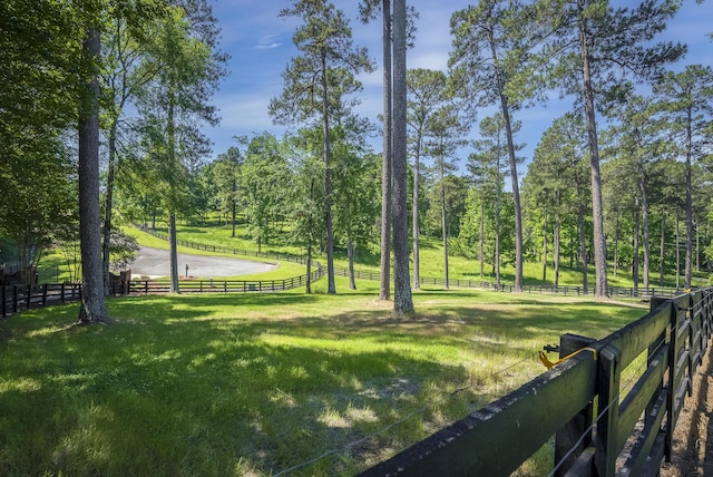 300 Science Hill School Ln, North Augusta, SC 29860 - photo 62