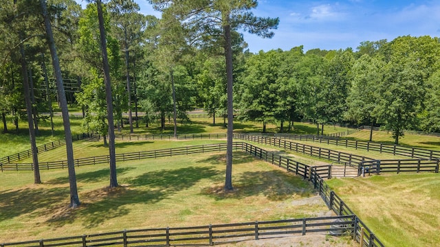 300 Science Hill School Ln, North Augusta, SC 29860 - photo 64