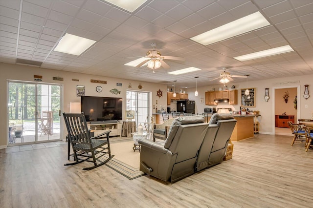 living room featuring ceiling fan, light hardwood / wood-style floors, and a drop ceiling