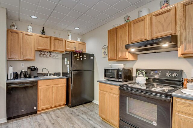 kitchen featuring light hardwood / wood-style flooring, black appliances, light brown cabinets, and sink