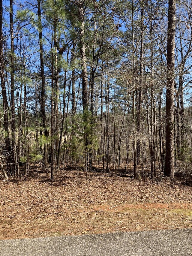 135 Antioch Dr, Mccormick, SC 29835