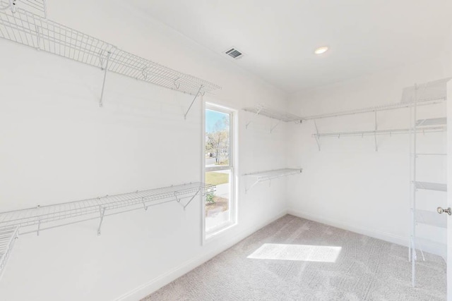 spacious closet featuring carpet flooring