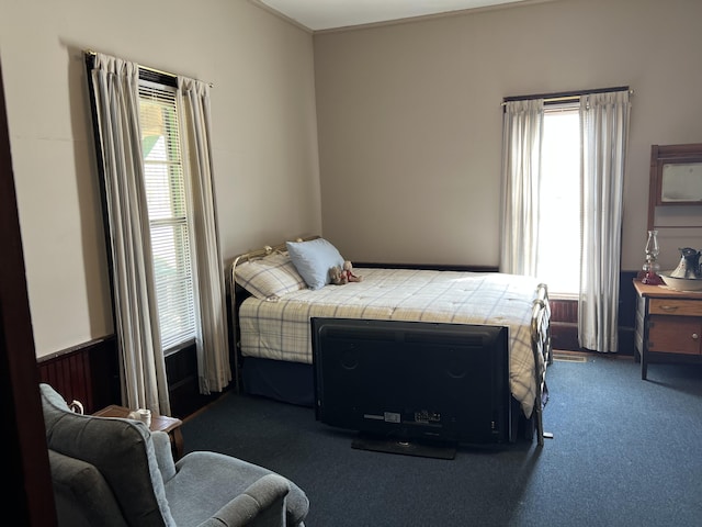 carpeted bedroom with multiple windows