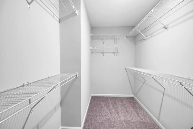 spacious closet with carpet floors