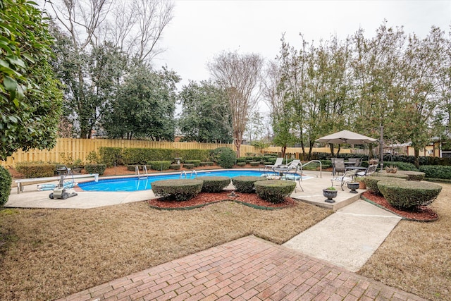 view of pool with a yard, a diving board, and a patio