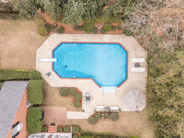 view of pool with a diving board