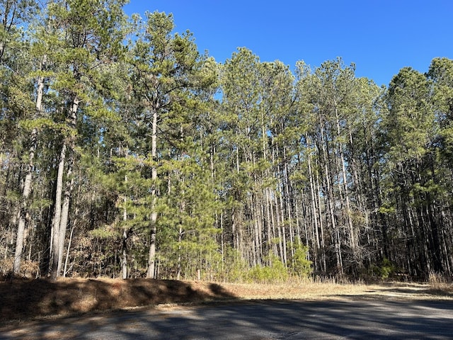 Listing photo 2 for LOT37 Petersburg Trce, Lincolnton GA 30817