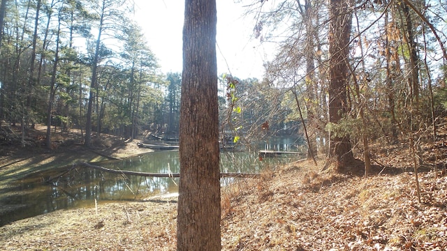 0 Indian Rd, Lincolnton GA, 30817 land for sale