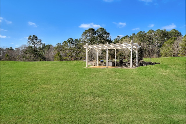 view of yard featuring a pergola