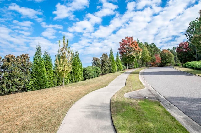 surrounding community featuring a yard