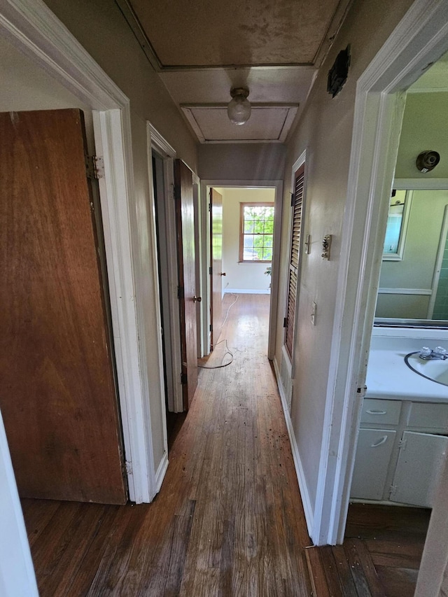 109 E E Walker St, Augusta, GA 30901 - corridor with wood finished floors and baseboards