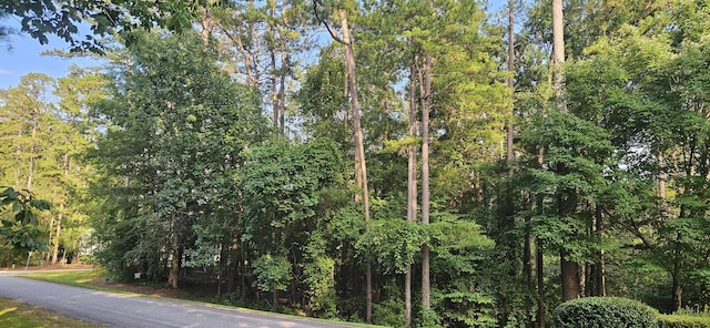 BL6LOT9 Davis Dr, Mccormick, SC 29835 - photo 4