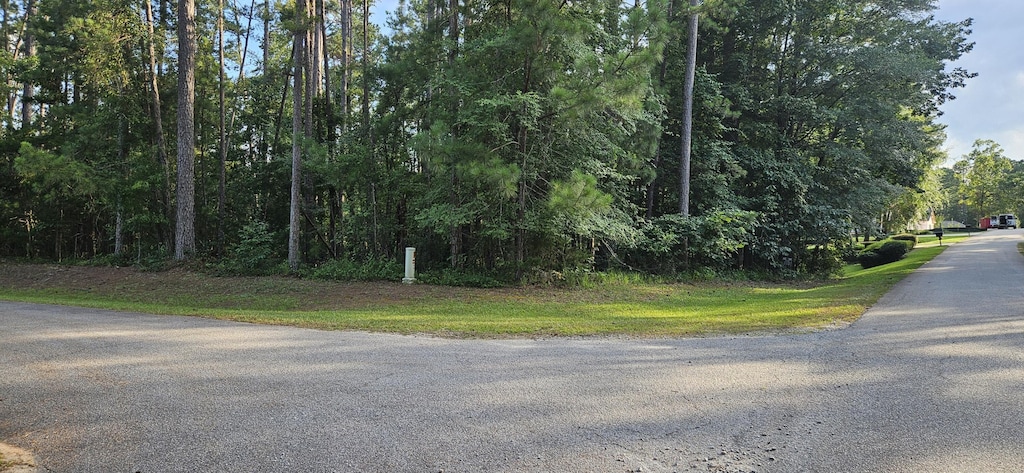 BL6LOT9 Davis Dr, Mccormick, SC 29835 - photo 1