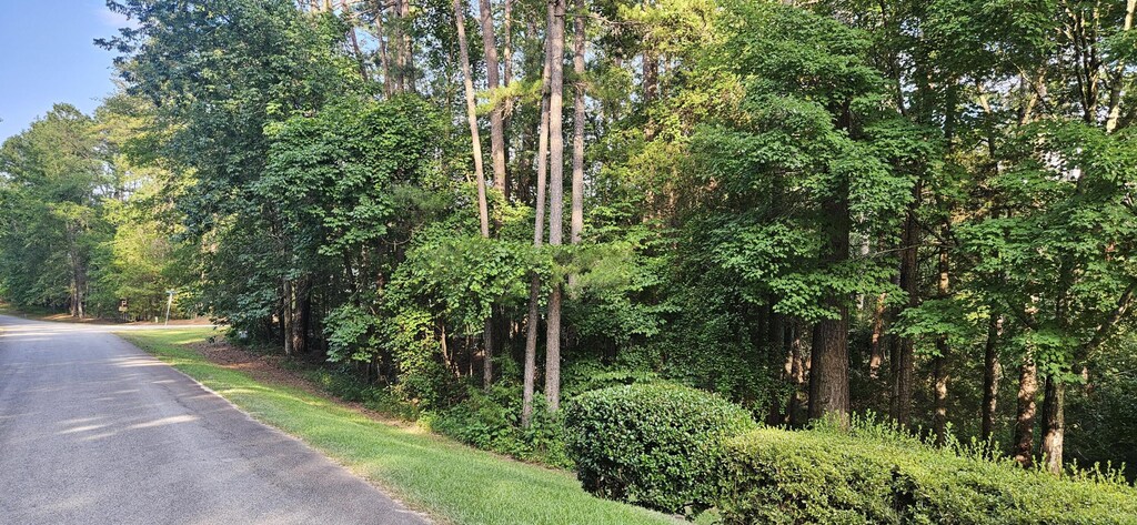 BL6LOT9 Davis Dr, Mccormick, SC 29835 - photo 3