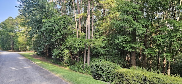 BL6LOT9 Davis Dr, Mccormick, SC 29835 - photo 3