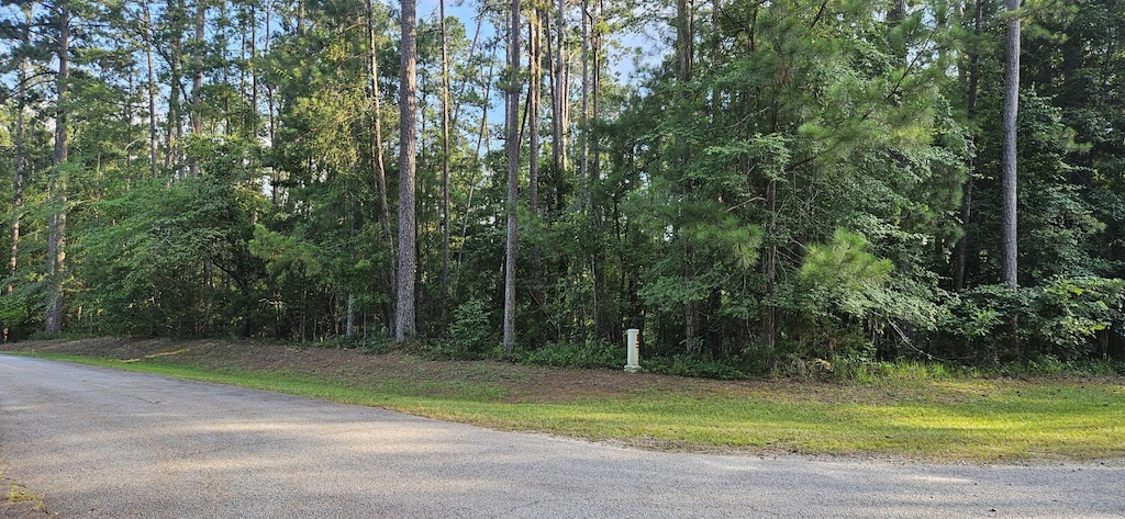 BL6LOT9 Davis Dr, Mccormick, SC 29835 - photo 2