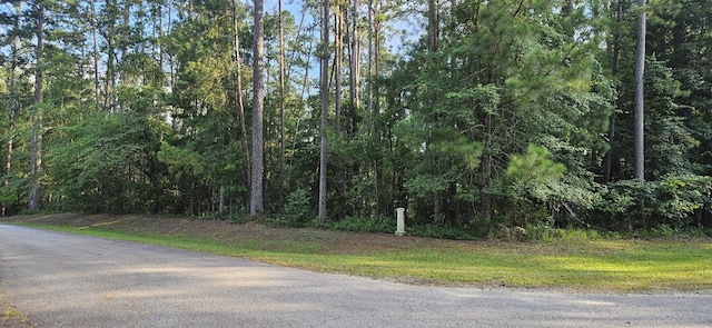 BL6LOT9 Davis Dr, Mccormick, SC 29835 - photo 2
