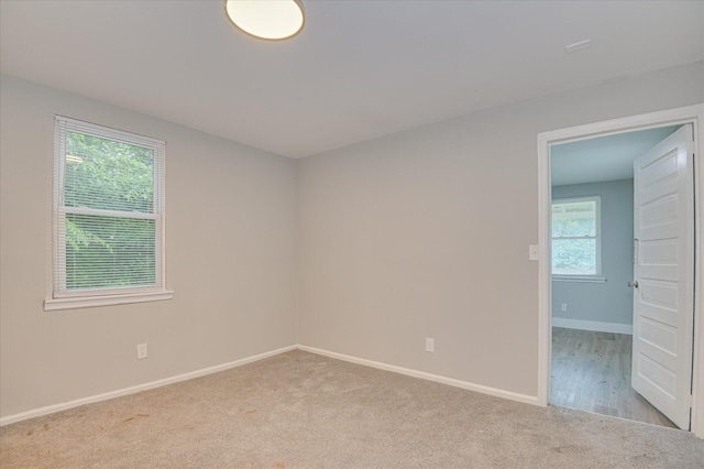 30 Walker St, Augusta, GA 30901 - photo 14