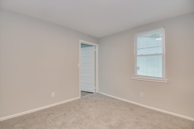 30 Walker St, Augusta, GA 30901 - photo 13