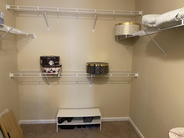 1908 Aspen Green Way, Augusta, GA 30909 - spacious closet with carpet
