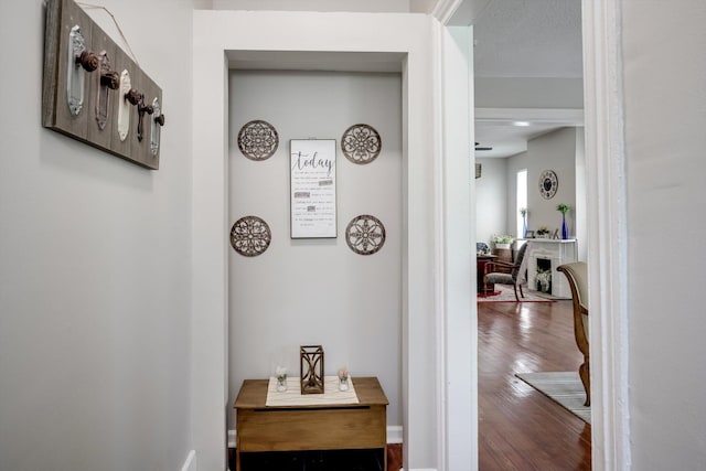 247 Walker St, Augusta, GA 30901 - photo 4