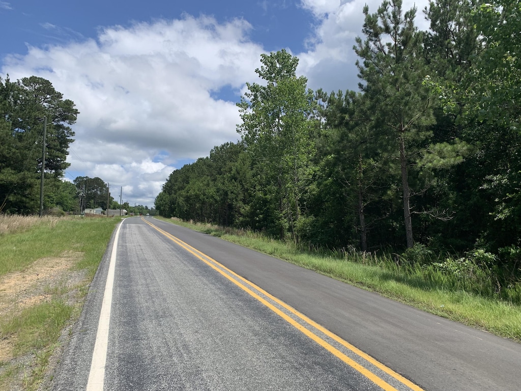 NA Metasville Rd, Lincolnton, GA 30817 - photo 1