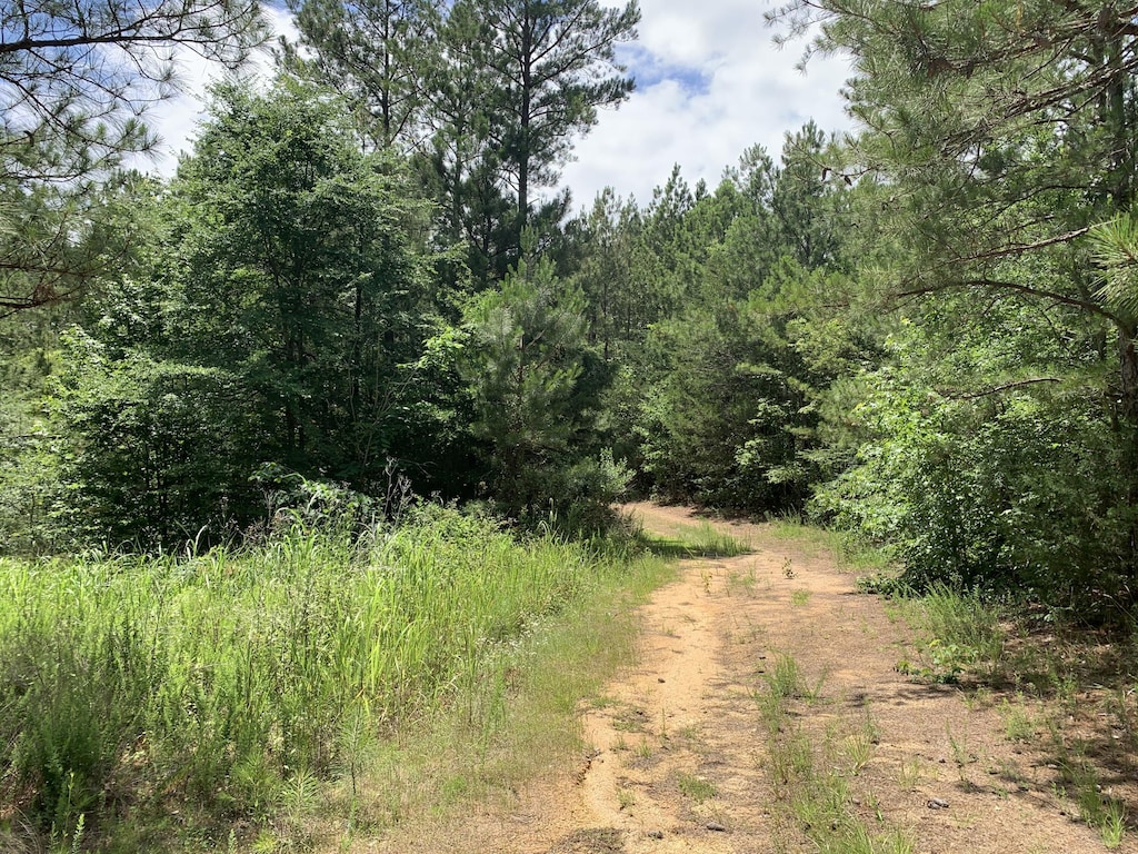 NA Metasville Rd, Lincolnton, GA 30817 - photo 2