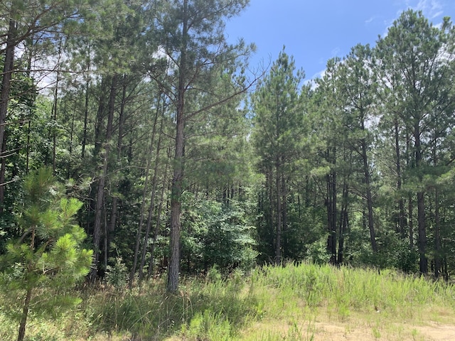 NA Metasville Rd, Lincolnton, GA 30817 - photo 4