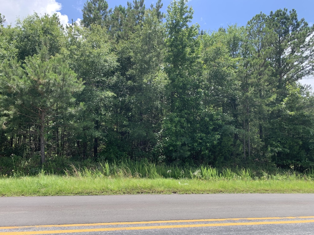 NA Metasville Rd, Lincolnton, GA 30817 - photo 3